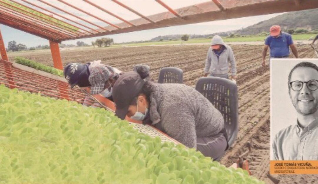 Diario Financiero: Salta el empleo informal entre migrantes en últimos años: la mayoría se va a la agricultura y ganadería