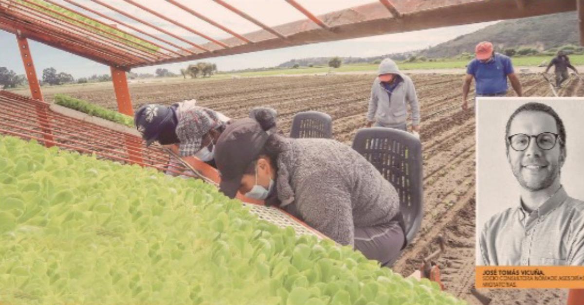 Salta el empleo informal entre migrantes en últimos años, la mayoría se va a la agricultura y ganadería